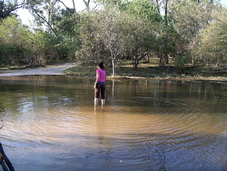 la zaorí viendo la profundidad